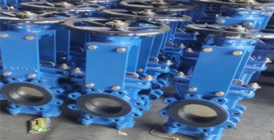 kasinvalves