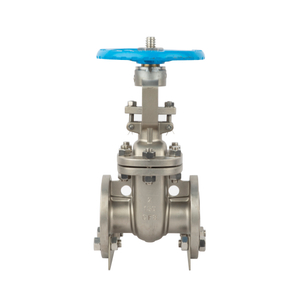 PN25 Flanged end Stainless steel High Temperature Gate Valve