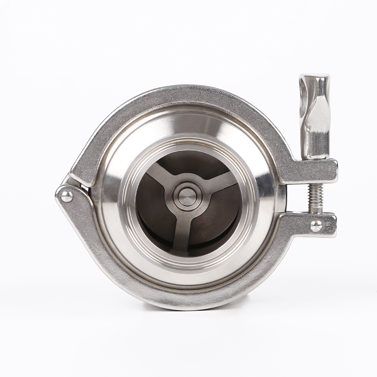 Internal view of Spring Check Valve Mod. SIG/55 showing spring and sealing disc