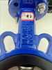 BVFW Cast Iron Wafer Style Butterfly Valve with Lever